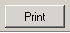 Print button
